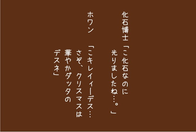 クリスマスツリーの化石2-9