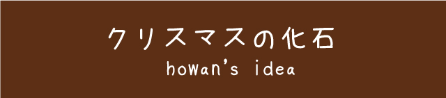 クリスマスツリーの化石2