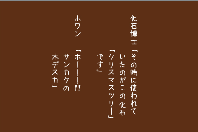 クリスマスツリーの化石2-5